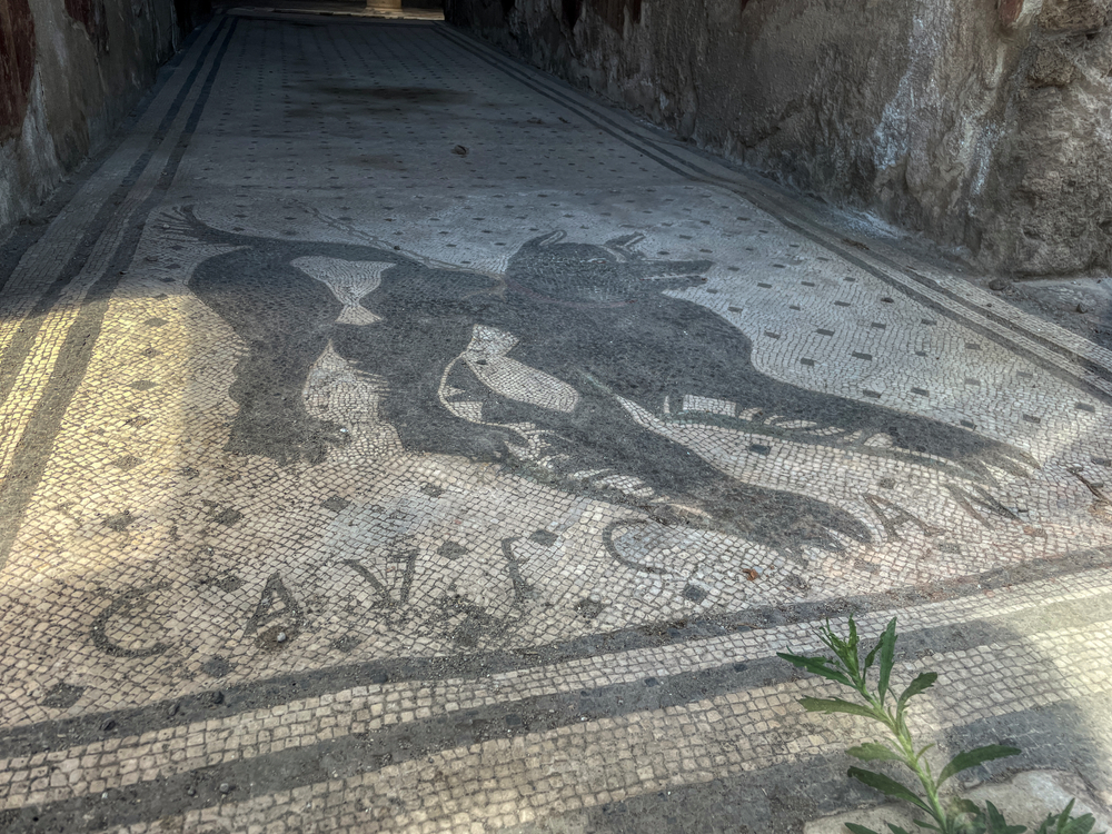 house of the tragic poet pompeii